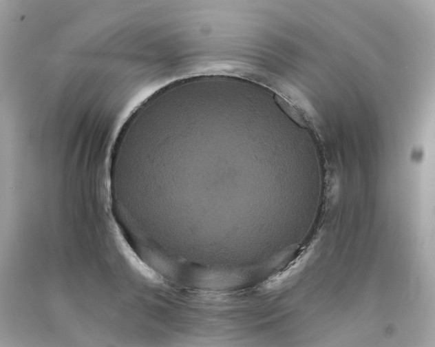 X0000091080792200709041240