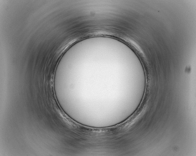 X0000091080793200709041240