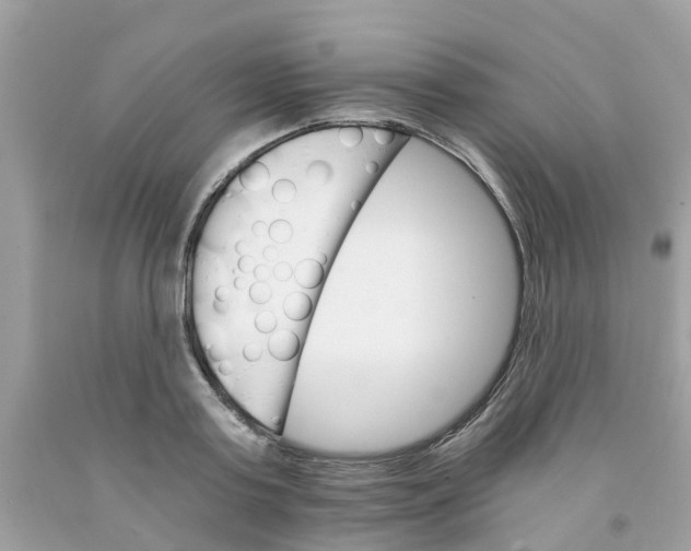 X0000091080795200709041240