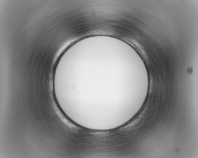 X0000091080796200709041240