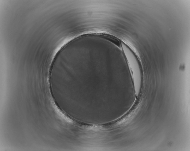 X0000091080797200709041240