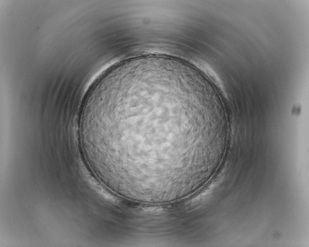 X0000091080798200709041239