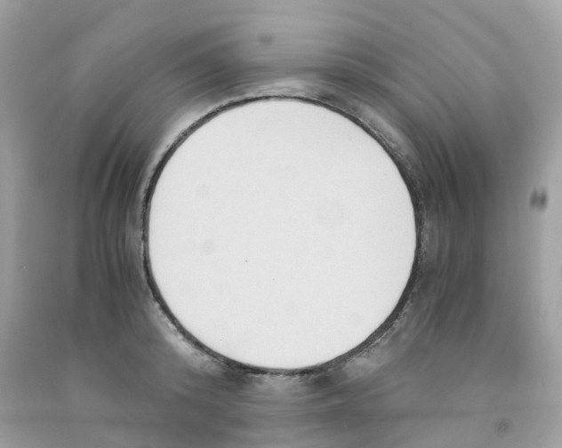 X0000091080800200709041239