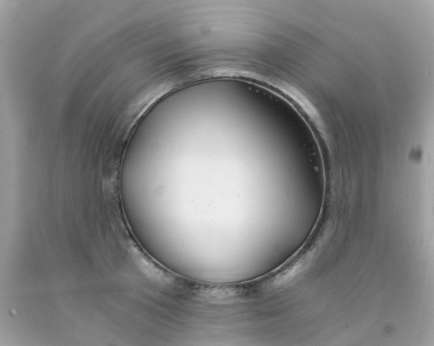 X0000091080801200709041239