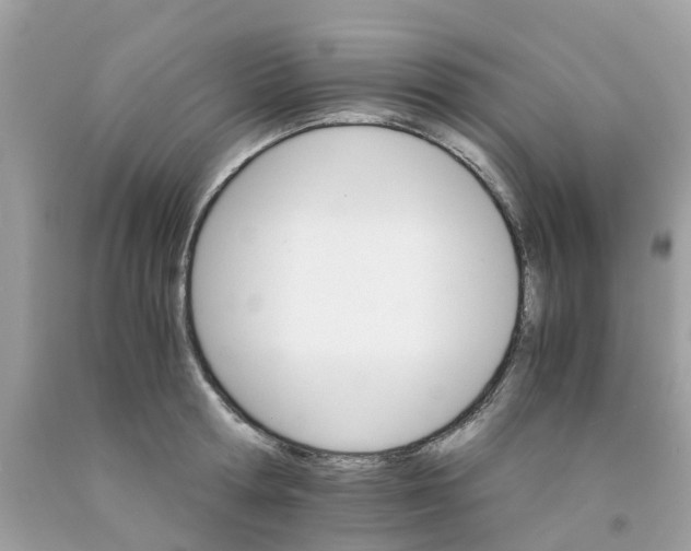 X0000091080802200709041239