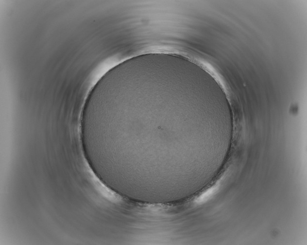 X0000091080803200709041239