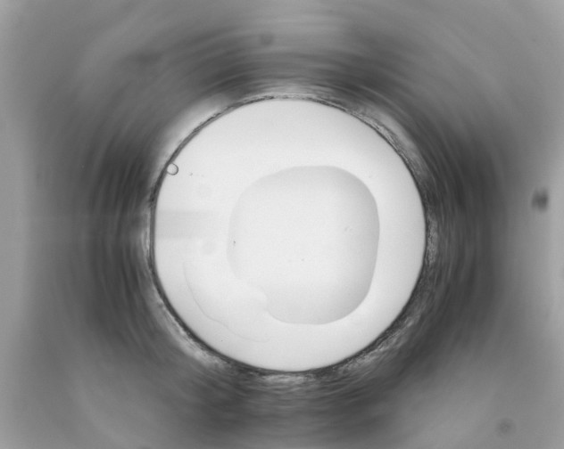 X0000091080804200709041239