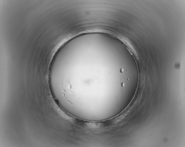 X0000091080805200709041239