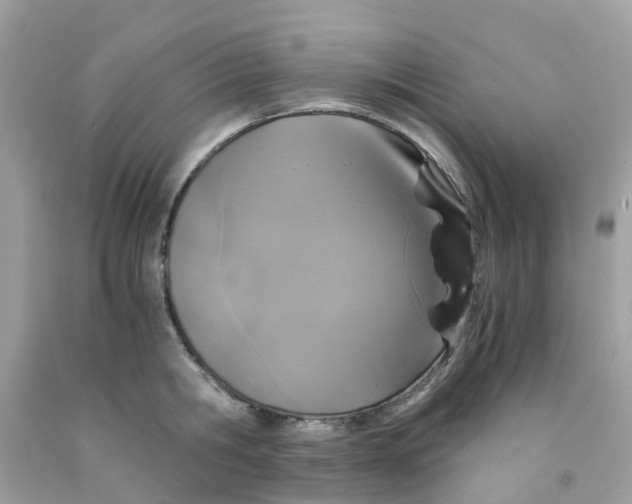 X0000091080806200709041239