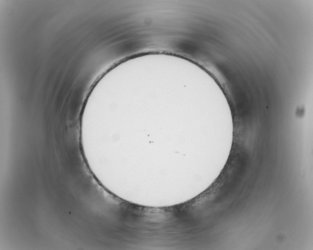 X0000091080807200709041239