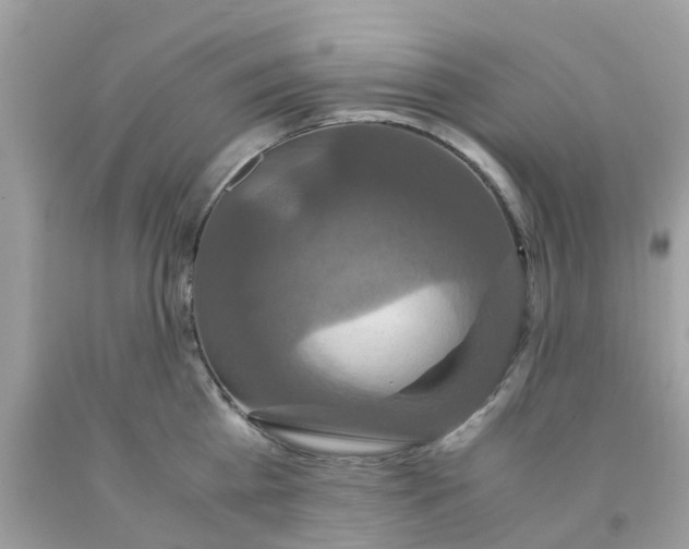 X0000091080809200709041239