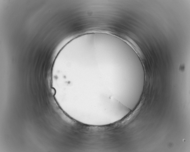 X0000091080812200709041239