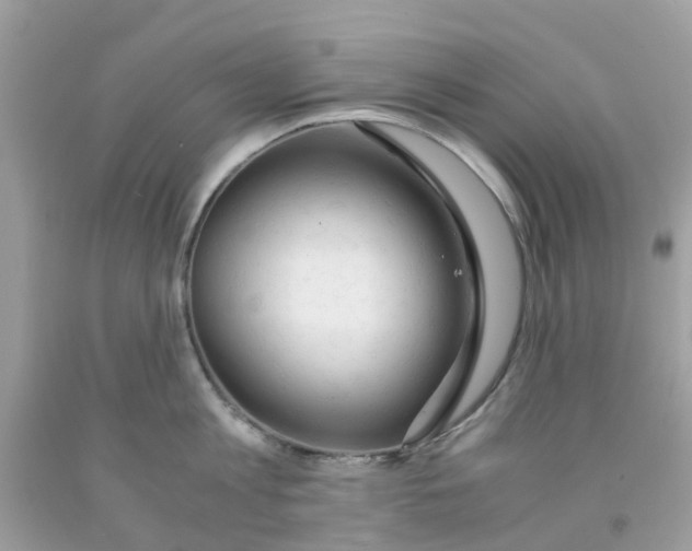 X0000091080813200709041239