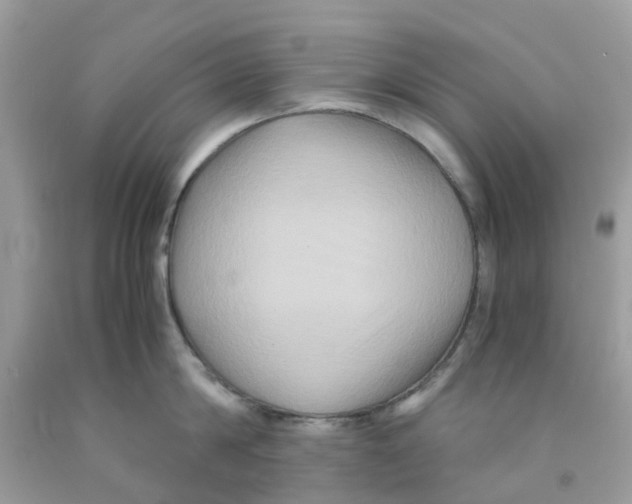 X0000091080814200709041239