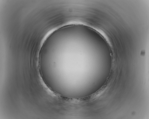 X0000091080815200709041239