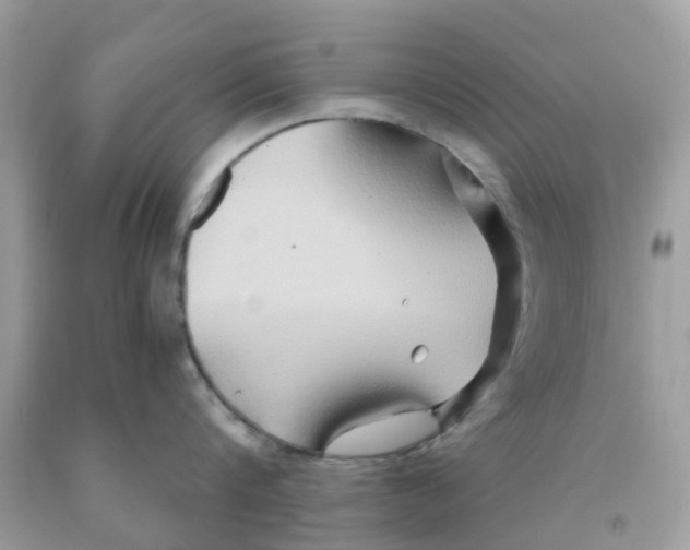 X0000091080816200709041239