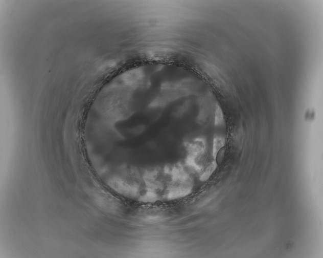 X0000091080817200709041239