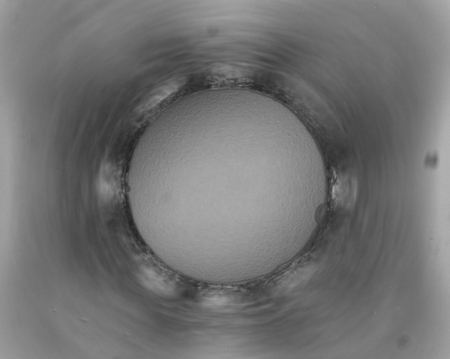 X0000091080819200709041239