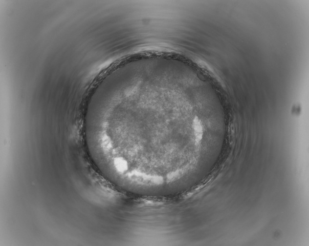 X0000091080822200709041239