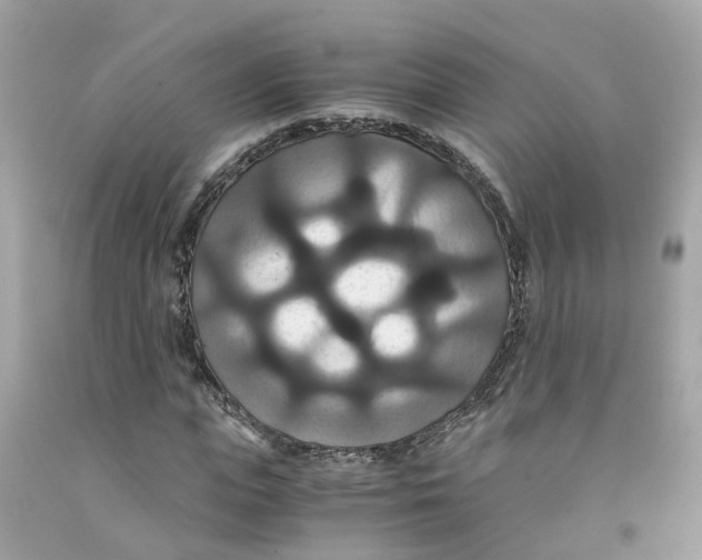 X0000091080823200709041239