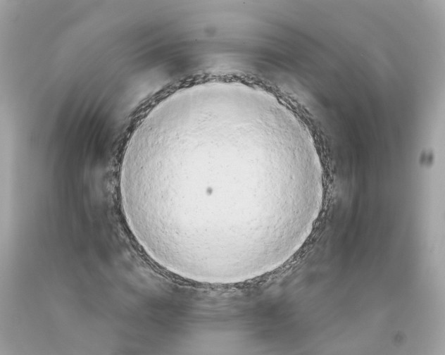 X0000091080824200709041239