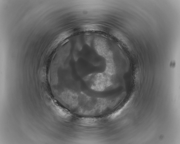 X0000091080825200709041239