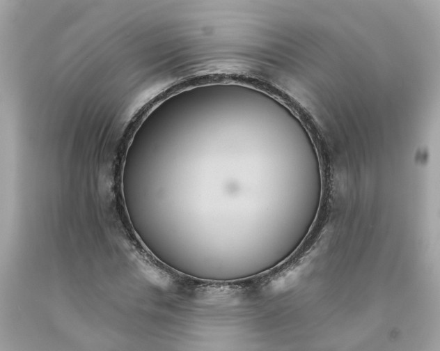 X0000091080826200709041239