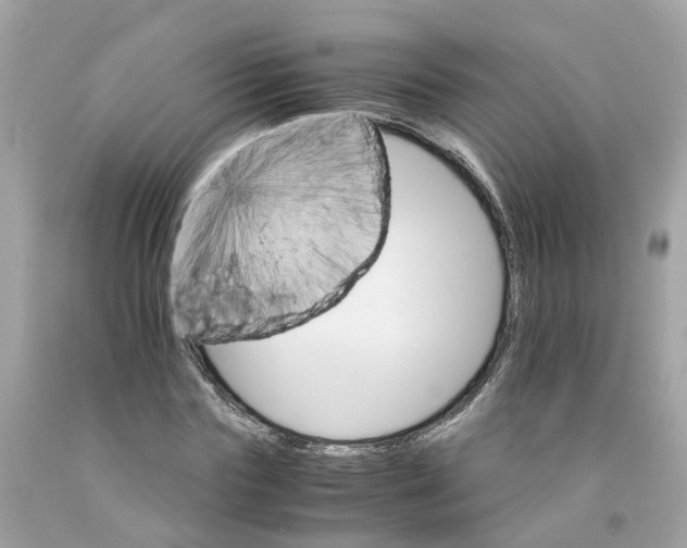 X0000091080827200709041239