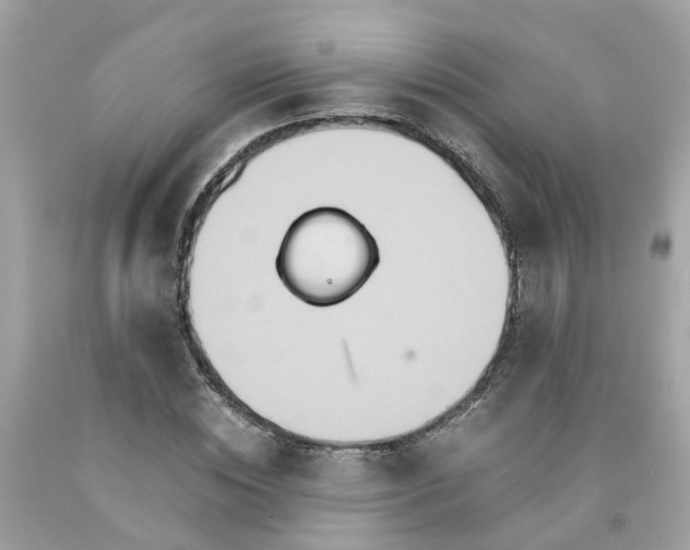 X0000091080828200709041239