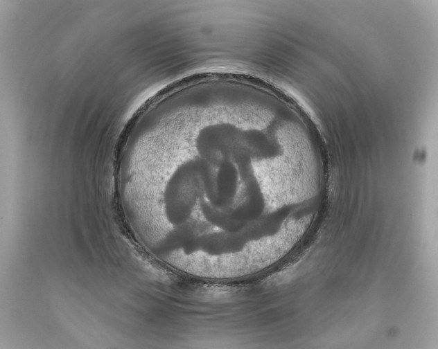 X0000091080829200709041239