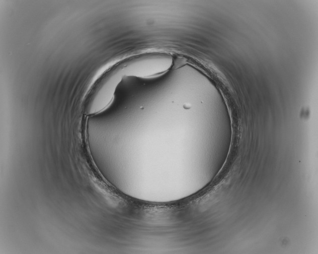 X0000091080830200709041239