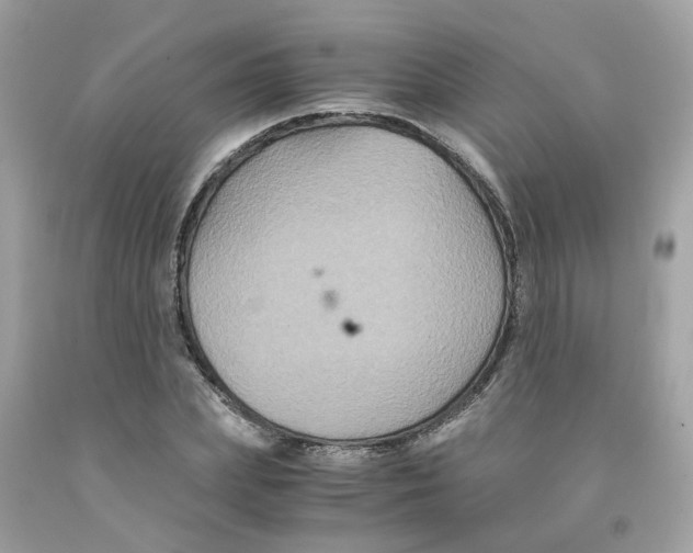 X0000091080831200709041239