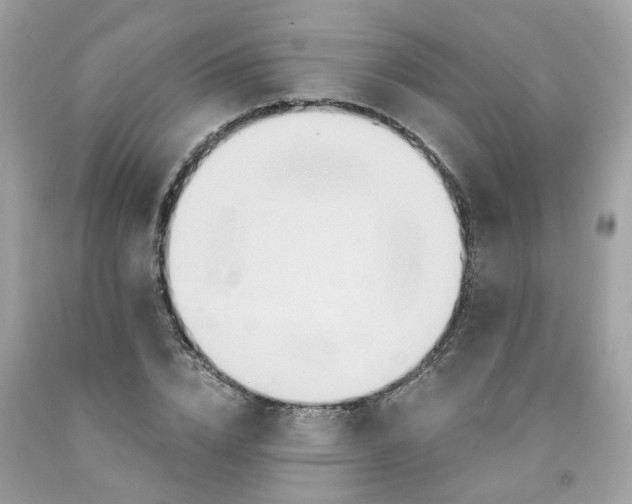 X0000091080832200709041239