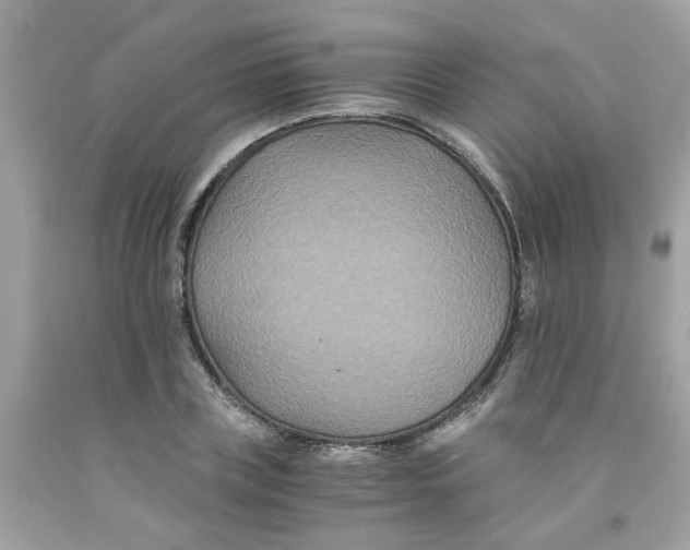 X0000091080835200709041239