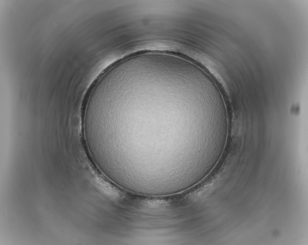 X0000091080837200709041239