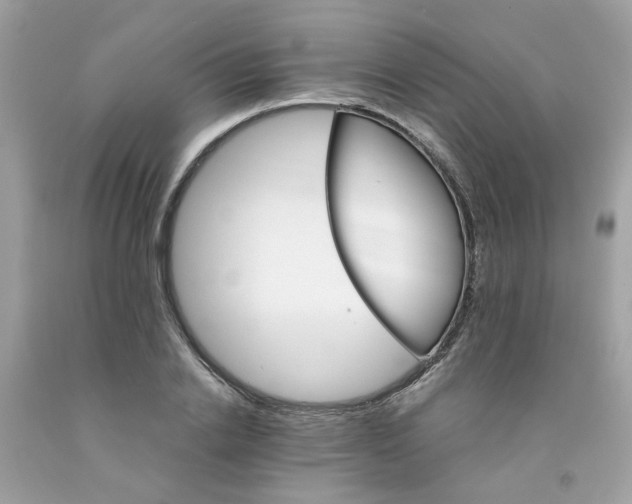 X0000091080838200709041239