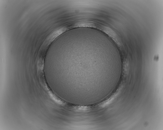 X0000091080841200709041239