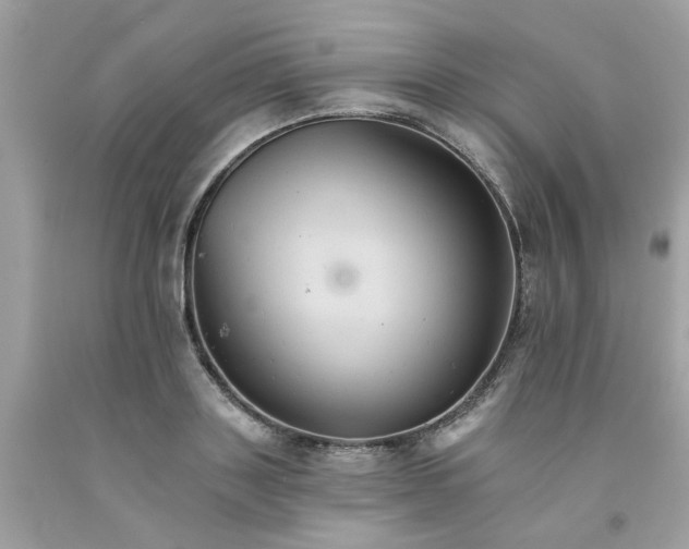 X0000091080843200709041239