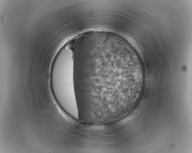 X0000091080845200709041239