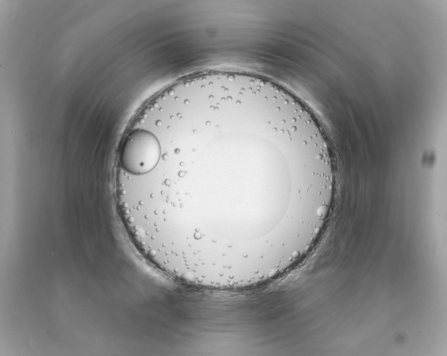 X0000091080848200709041239