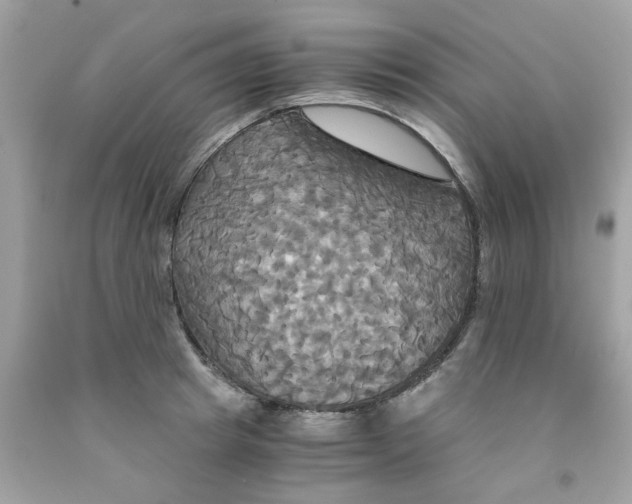 X0000091080849200709041239