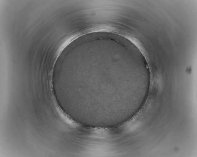 X0000091080850200709041239