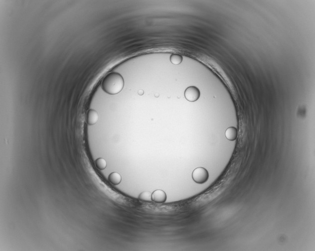 X0000091080851200709041239