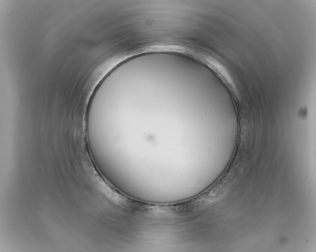 X0000091080852200709041239