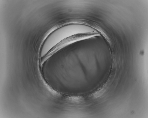 X0000091080853200709041239