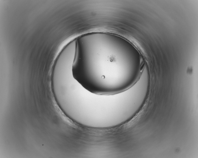 X0000091080854200709041239