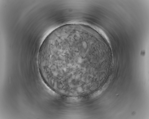 X0000091080855200709041239