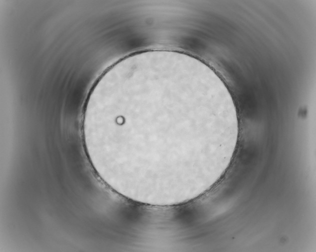 X0000091080856200709041239