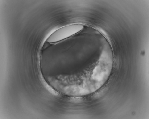 X0000091080859200709041239