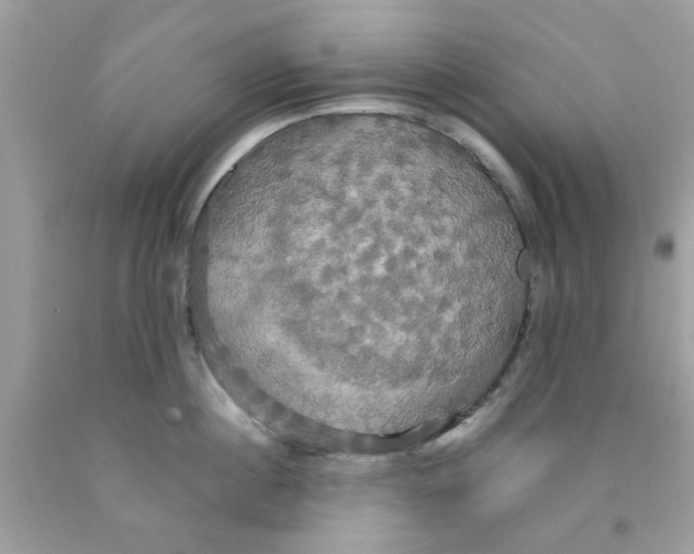 X0000091080860200709041239